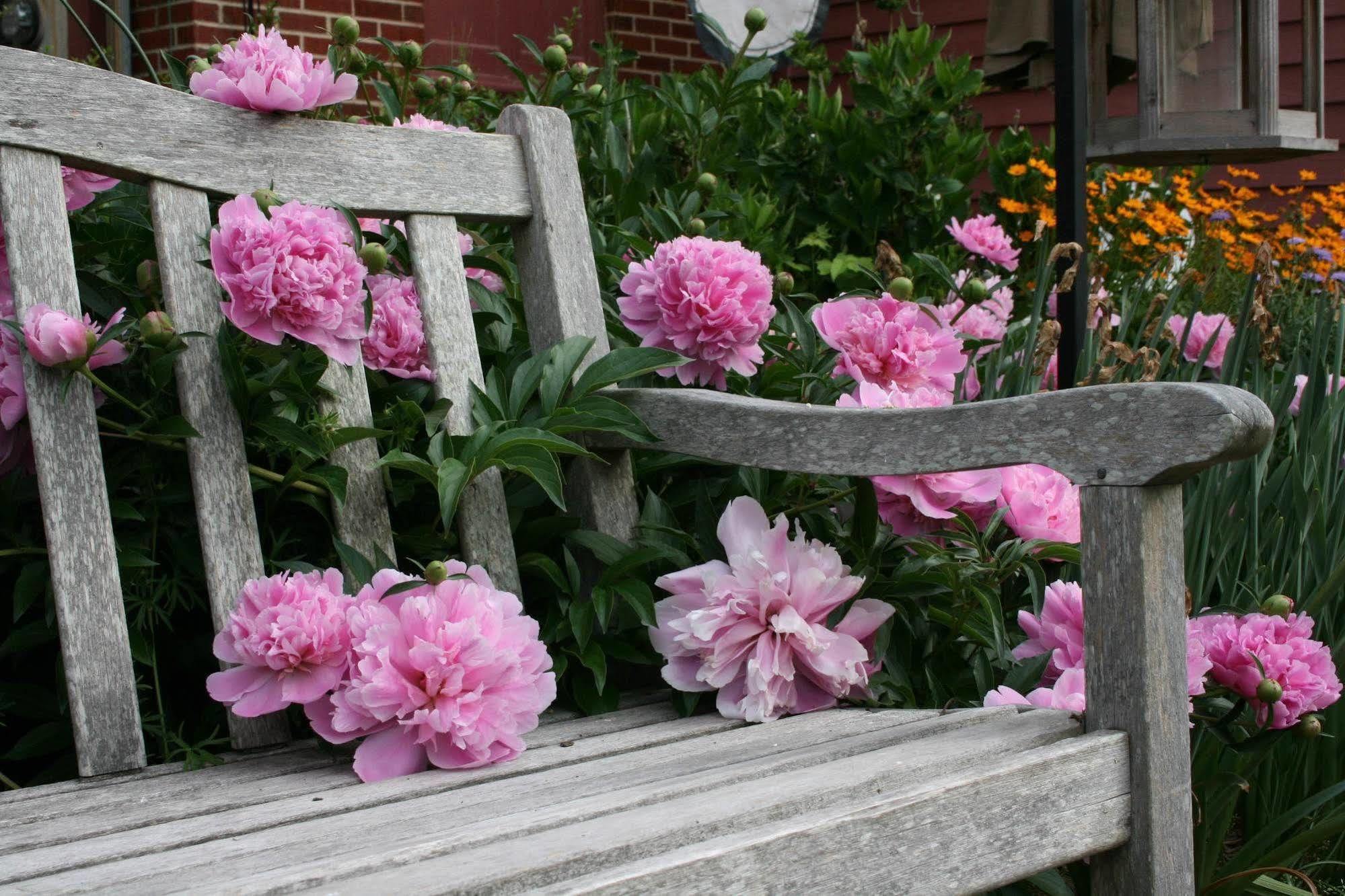 Williamsburg Manor B&B Dış mekan fotoğraf